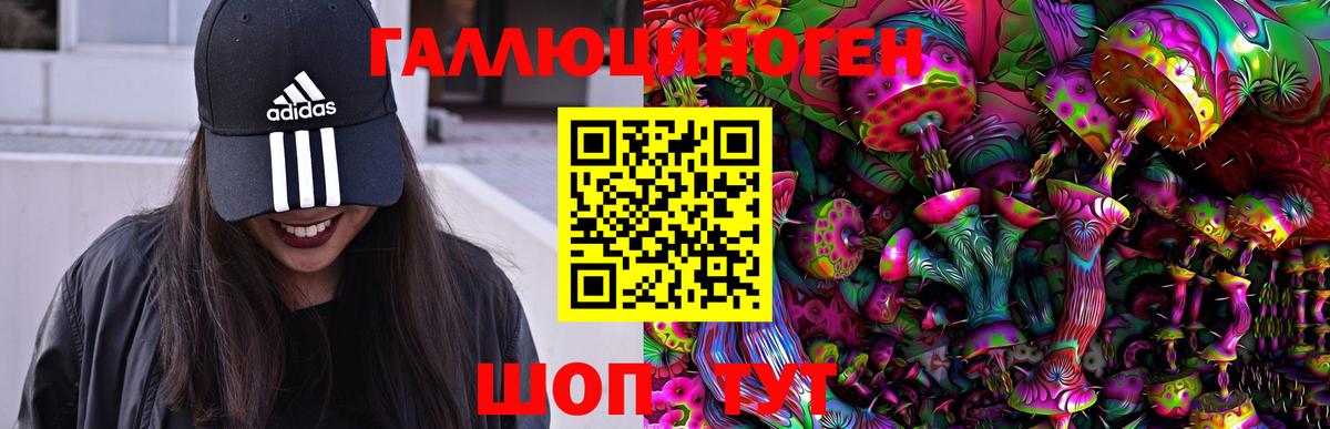 что такое   Вход с VPN  Йошкар-Ола  Псилоцибиновые грибы мухоморы 